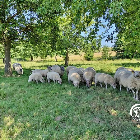 Дом отдыха De Villefeu, 8 Personnes Ambrieres Les Vallees